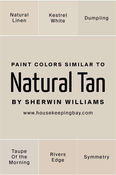 Paint Colour Review Sherwin Williams Natural Tan Sw Kylie M