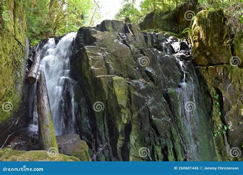 Sweet Creek Falls Waterfall Along Hiking Trail Complex Near Mapleton