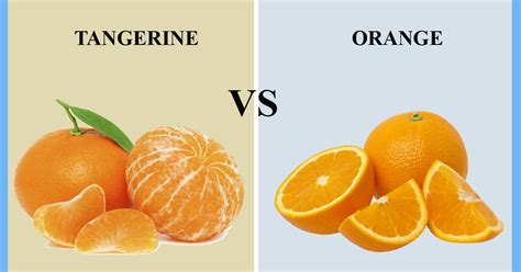 Difference Between Clementine And Tangerine And Satsuma Lessonspoi