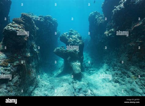 Underwater Rock Formation