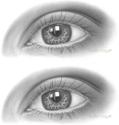 How To Draw Eyelashes In 8 Steps Rapidfireart