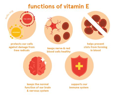 Vitamin E Foods Functions How Much Do You Need And More Eufic