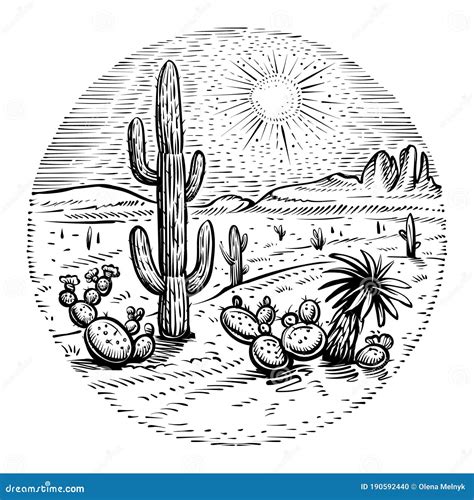 Circle Desert Vector Round Western Landscape Sketch With Cactus