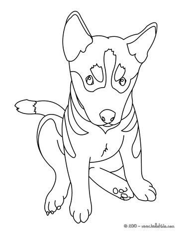 German shepherd coloring pages free german shepherd puppy drawing at getdrawings free for personal. DOG coloring pages - German Shepherd Puppy | German ...