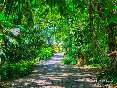 Something that baffles or frustrates by its tangled or complex character : The 727 Team » Top 8 Reasons To Move To Jungle Prada, St ...