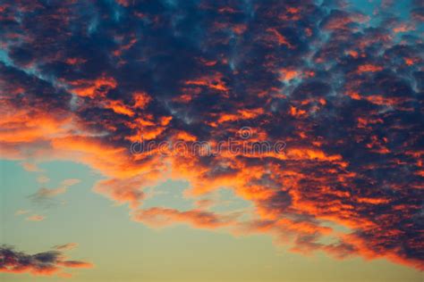 Orange Clouds In Winter Sunset Through Bare Tree Branches Stock Image