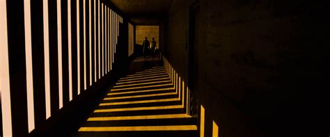 Deakins work is both a pastiche of the original film and an ingenious and graphically potent way to move the film into new territory and. Blade Runner 2049 (2017) Cinematographer: Roger Deakins ...