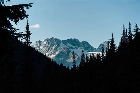 Download Snowy Mountain Dark Forest Wallpaper