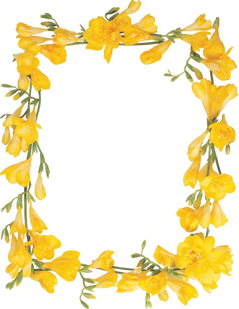 Frame Border Png Image Frame Border Design Floral Border Design Images