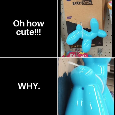 Bark Company, you have some 'splaining to do... : r/petco