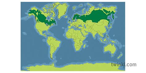 Boreal Zone World Map Habitat Iklim Bioma Sains Ks2