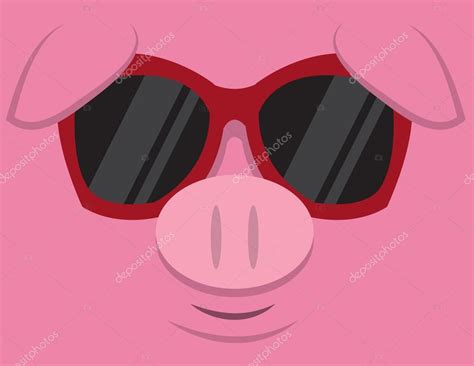 Cool Pig Sunglasses — Stock Vector © Milo827 21081377