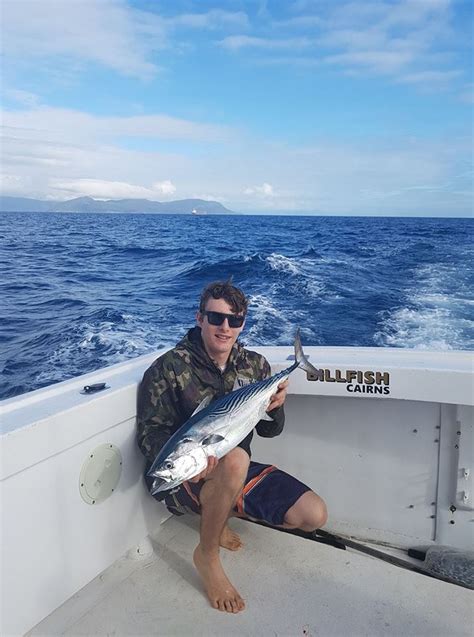 Billfish Sports Fishing Cairns Tourism Town Find