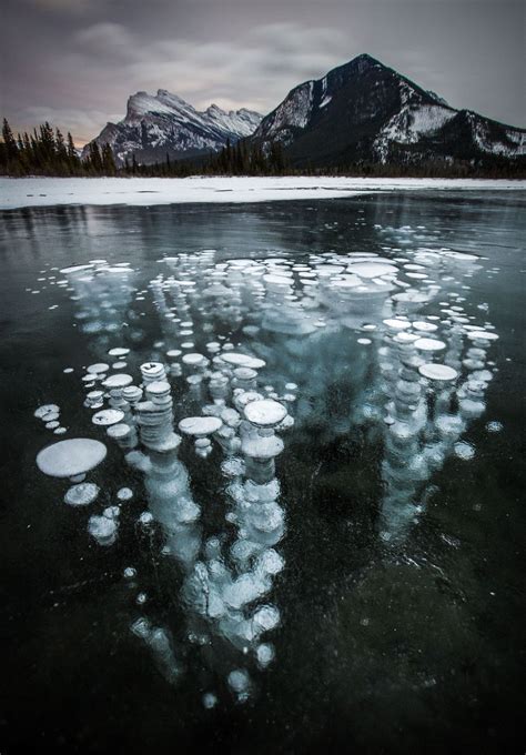 Frozen Bubbles In Canadian Lakes In Pictures Landscape Photography