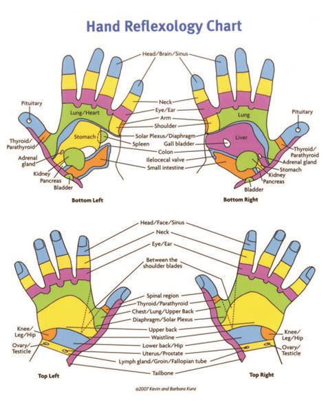 reflexology hand chart printable