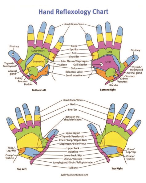 Printable Hand Reflexology Chart