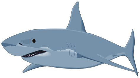 Shark Clipart Shark Clip Art Images Hdclipartall