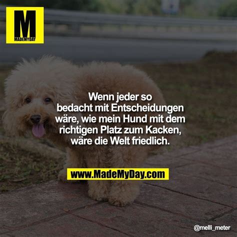 ╚» hier gibt es eine kleine auswahl der besten sprüche hier gibt es alle lustigen sprüche klicken! das war unsere übersichtsseite für die sprüche kategorien! 20 lustige Sprüche #1 | Lustige sprüche, Entscheidungen ...