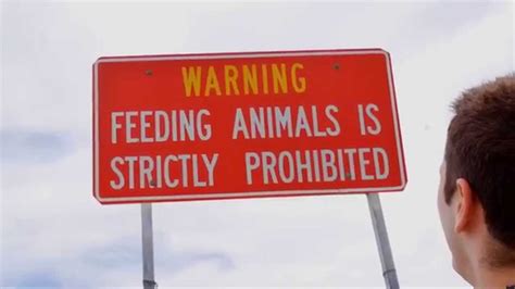 Dont Feed The Animals Youtube