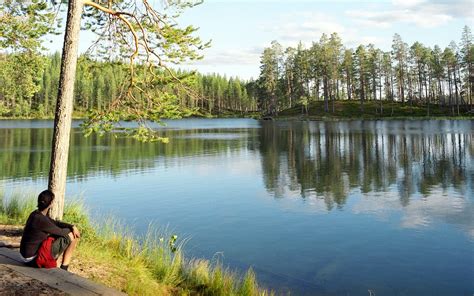 #finland nature #finland #forest #lake #foggy lake #nature #photography #photo #nature photoset #finnish nature #midsummer #luontokuvaus #suomen luonto #luo bingmei #valokuva. Nature Lovers Will Go Wild for Finland's Newest National ...