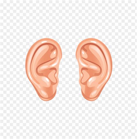 Free Download Hd Png Cartoon Ears Clipart Png Photo 65559 Toppng