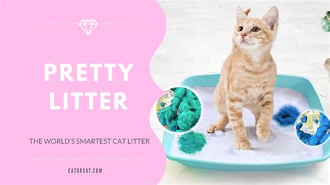 Pretty Litter Review The Worlds Smartest Health