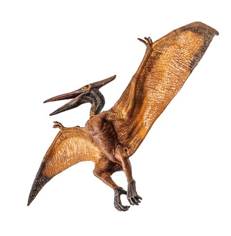 Pteranodon Pterodactyl Dinosaurus Op Witte Achtergrond 11979345 Png