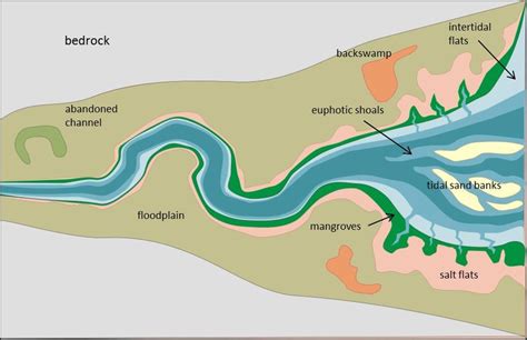 Typical Morphology Of Tide Dominated Estuaries After Dalrymple Et Al