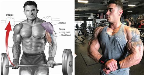 5 Advanced Tips To Build Bigger Biceps Shreddedfit