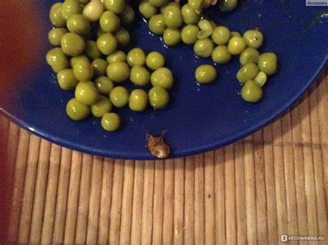 Горошек зеленый консервированный Бондюэль "Нежный" - «Насекомые в Картинка - Горошек зеленый консервированный Бондюэль "Нежный" - «Насекомые в