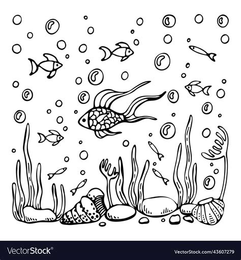 Coloring Book Coral Reef Fish Stones Algae Vector Image