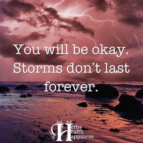 You Will Be Okay Storms Dont Last Forever Storms Dont Last Forever