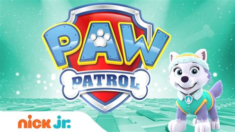 Paw Patrol The New Pup Everest