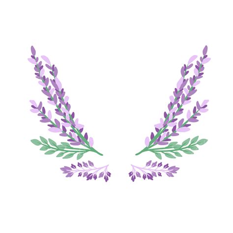 Lavender Flower Floral Frame Lavender Flower Floral Png Transparent