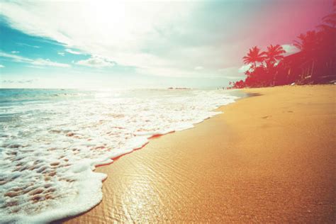 Best Beach Stock Photos Pictures And Royalty Free Images Istock