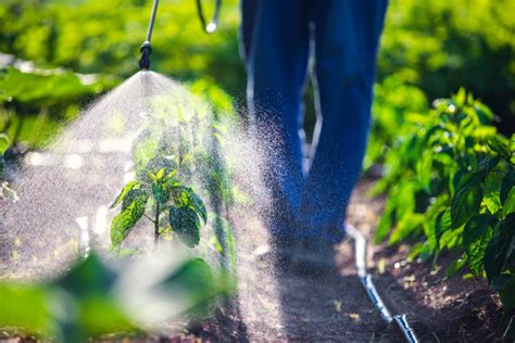 Werken Met Pesticiden In Landbouw Visserij Of Groenonderhoud Verhoogt