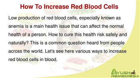 Ppt How To Increase Red Blood Cells In Blood Powerpoint Presentation
