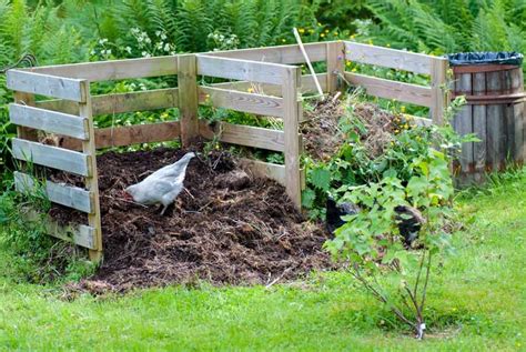 Build A Compost Pile El Gardener