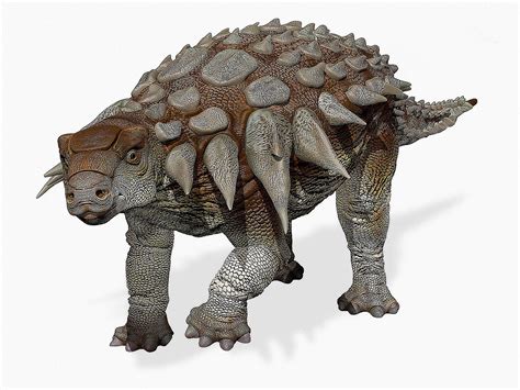 Gambar Dinosaurus Ankylosaurus