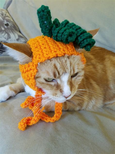Pumpkin Cat Hat Cat Hats Hats For Cats Pumpkin Cat Etsy