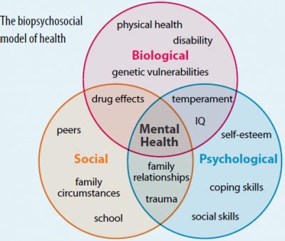The biopsychosocial model is the conceptual status quo of contemporary psychiatry. The Biopsychosocial Model of Health | that psychology blog