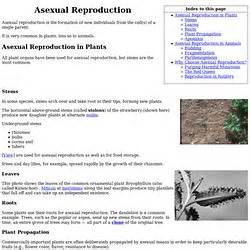 The reproduction method that involves male and female gamete cells produced either by same organism (bisexual or. Plant reactions | Pearltrees