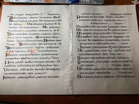 Book of Kells. My first try with ink and nib. Insular Majuscule. I