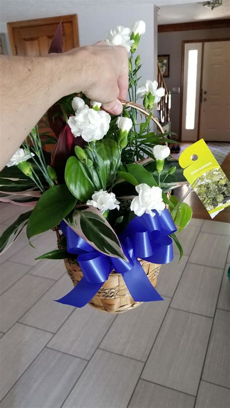 The enchanted florist proudly serves palm bay and the surrounding areas. Top 606 Complaints and Reviews about Avas Flowers | Page 2