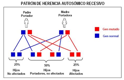 Apr 06, 2017 · herencia autosómica dominante. SEMINARIO INTERDISCIPLINARIO GRUPO 2016-2