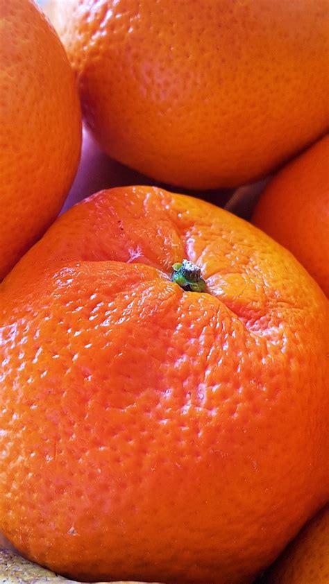 Mandarin Orange Fruit Citrus Free Photo On Pixabay Pixabay