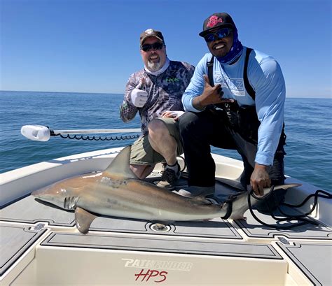 Shark Fishing In Destin Florida Environmental Impact