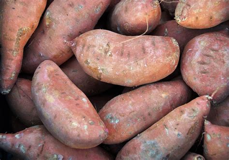 Growing Sweet Potatoes In A Home Garden University Of Maryland Extension