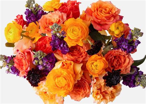 The Bold Floral Send Flower Bouquets Urbanstems Flower Delivery