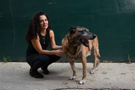 War Dogs Book Rebecca Frankel War Dogs Tales Of Canine Heroism The